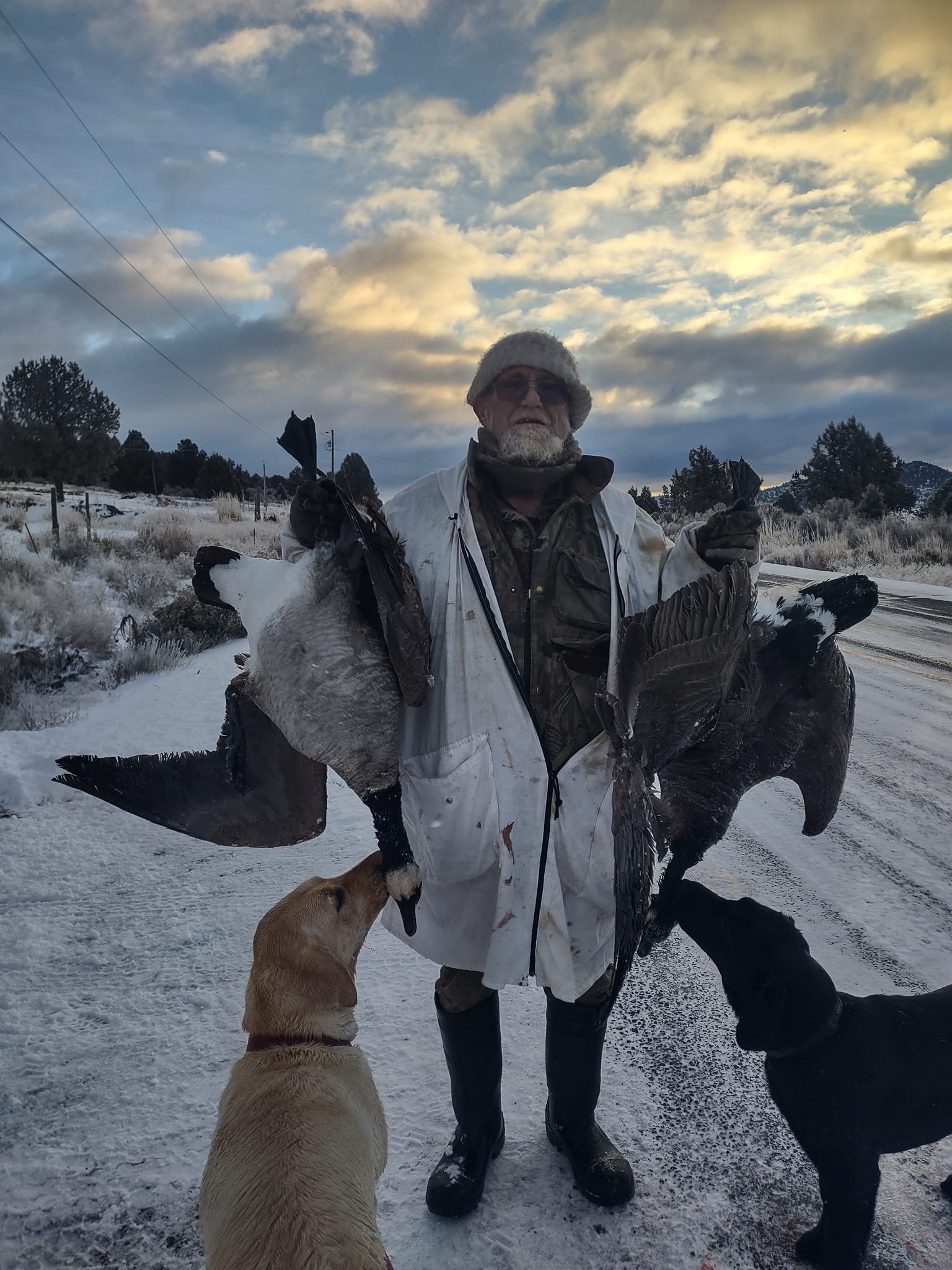 Jim with two Canada geese at dawn, Lisa nosing one of the birds — high desert winter scene